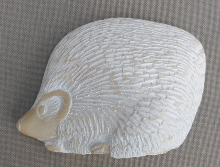 41. Egel en fossiel water.